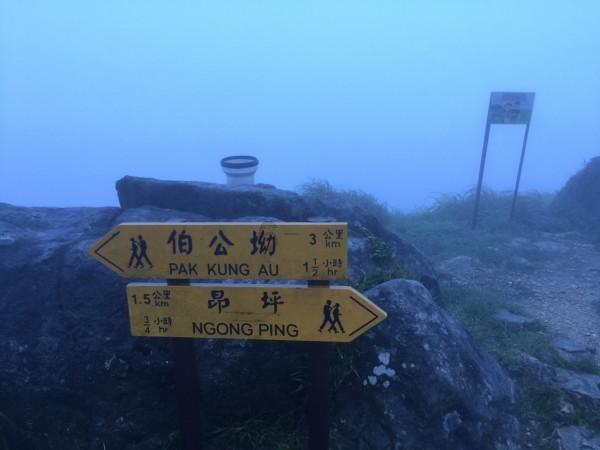 斑鸠霸占大学生晾晒的衣服搭窝,为了回收衣物,大学生亲自改造鸟窝